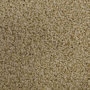 Ковролин Vorwerk Exclusive1009/Elara 8g82  | FLOORDEALER